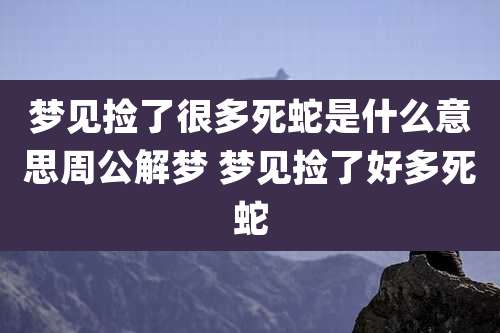 梦见捡了很多死蛇是什么意思周公解梦 梦见捡了好多死蛇