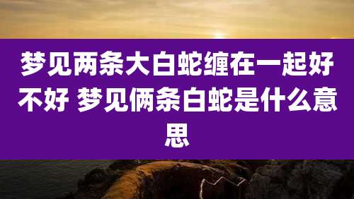 梦见两条大白蛇缠在一起好不好 梦见俩条白蛇是什么意思