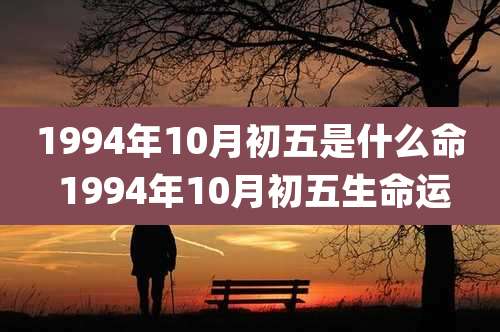 1994年10月初五是什么命 1994年10月初五生命运