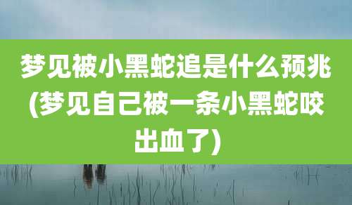 梦见被小黑蛇追是什么预兆(梦见自己被一条小黑蛇咬出血了)