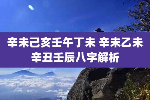辛未己亥壬午丁未 辛未乙未辛丑壬辰八字解析