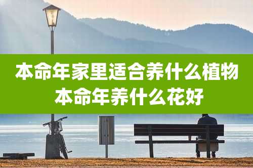 本命年家里适合养什么植物 本命年养什么花好