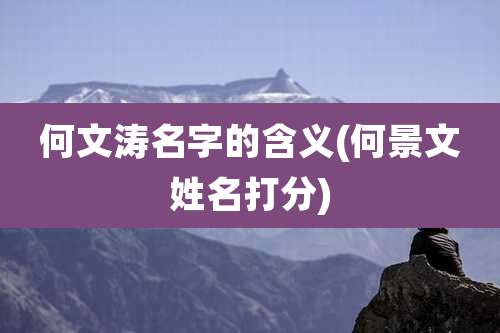 何文涛名字的含义(何景文姓名打分)
