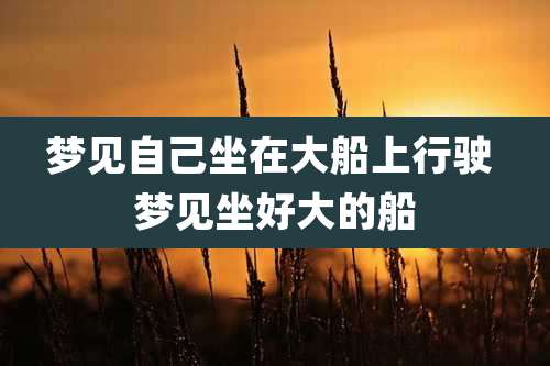 梦见自己坐在大船上行驶 梦见坐好大的船