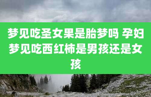 梦见吃圣女果是胎梦吗 孕妇梦见吃西红柿是男孩还是女孩