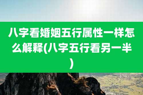 八字看婚姻五行属性一样怎么解释(八字五行看另一半)