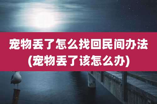 宠物丢了怎么找回民间办法(宠物丢了该怎么办)