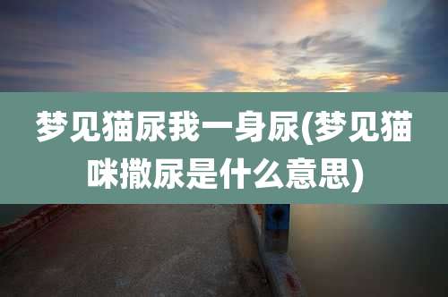 梦见猫尿我一身尿(梦见猫咪撒尿是什么意思)