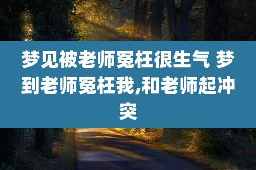 梦见被老师冤枉很生气 梦到老师冤枉我,和老师起冲突