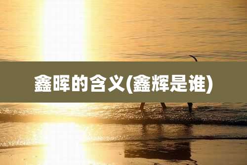 鑫晖的含义(鑫辉是谁)