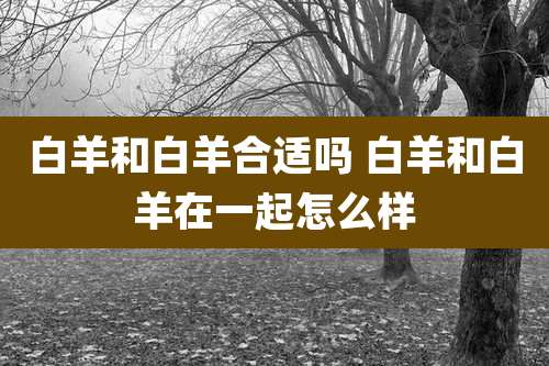 白羊和白羊合适吗 白羊和白羊在一起怎么样