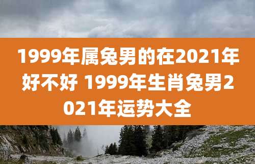 1999年属兔男的在2021年好不好 1999年生肖兔男2021年运势大全