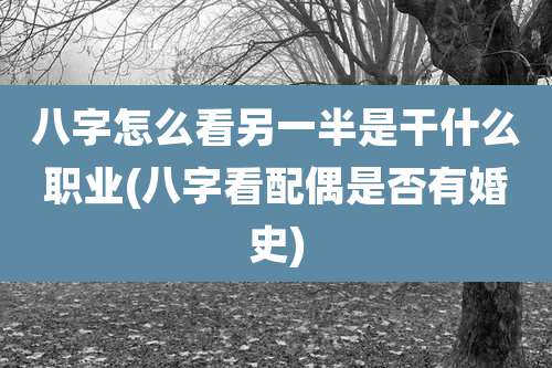 八字怎么看另一半是干什么职业(八字看配偶是否有婚史)