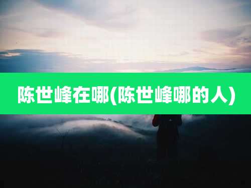 陈世峰在哪(陈世峰哪的人)