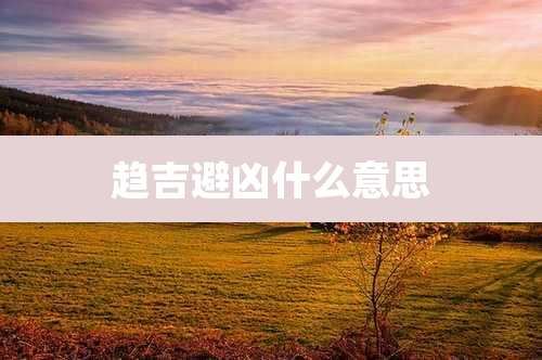 趋吉避凶什么意思