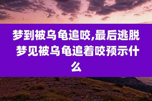 梦到被乌龟追咬,最后逃脱 梦见被乌龟追着咬预示什么