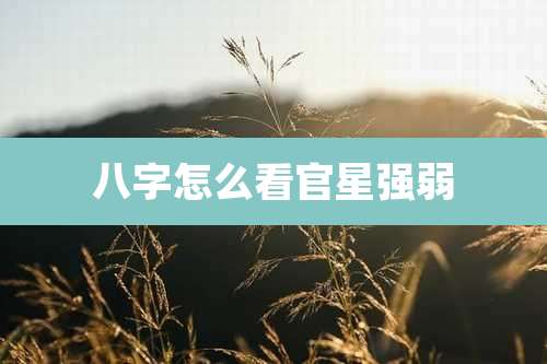 八字怎么看官星强弱
