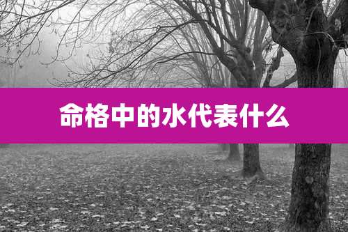 命格中的水代表什么