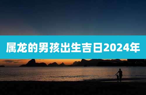 属龙的男孩出生吉日2024年