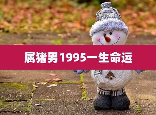 属猪男1995一生命运