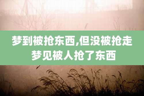 梦到被抢东西,但没被抢走 梦见被人抢了东西