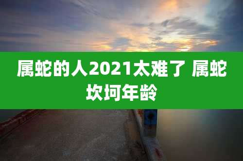 属蛇的人2021太难了 属蛇坎坷年龄