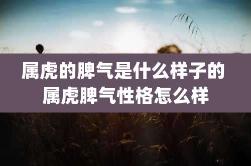 属虎的脾气是什么样子的 属虎脾气性格怎么样