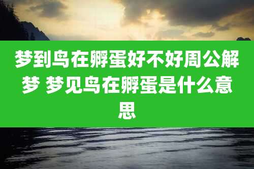 梦到鸟在孵蛋好不好周公解梦 梦见鸟在孵蛋是什么意思