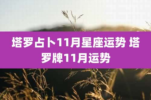 塔罗占卜11月星座运势 塔罗牌11月运势
