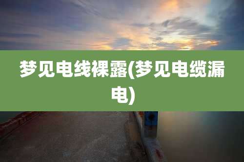 梦见电线***(梦见电缆漏电)
