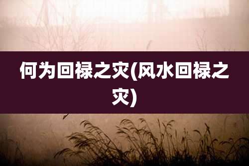 何为回禄之灾(风水回禄之灾)