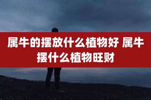属牛的摆放什么植物好 属牛摆什么植物旺财
