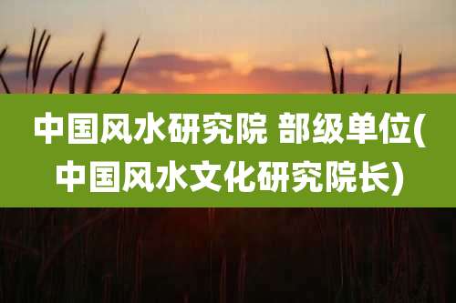 中国风水研究院 部级单位(中国风水文化研究院长)