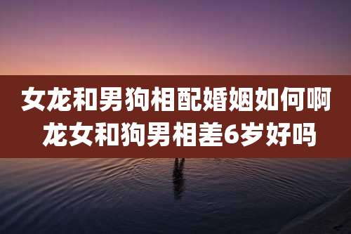 女龙和男狗相配婚姻如何啊 龙女和狗男相差6岁好吗