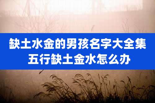 缺土水金的男孩名字大全集 五行缺土金水怎么办