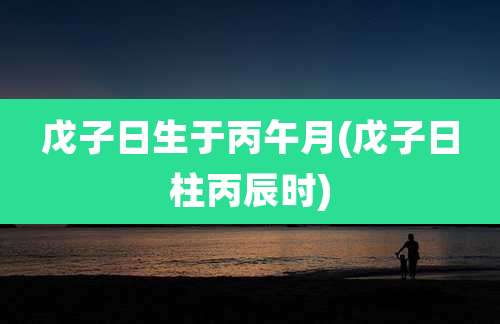 戊子日生于丙午月(戊子日柱丙辰时)