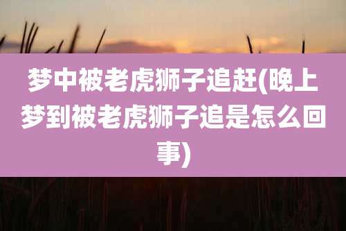 梦中被老虎狮子追赶(晚上梦到被老虎狮子追是怎么回事)