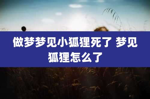 做梦梦见小狐狸死了 梦见狐狸怎么了