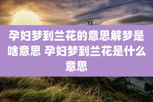 孕妇梦到兰花的意思解梦是啥意思 孕妇梦到兰花是什么意思