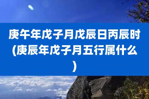 庚午年戊子月戊辰日丙辰时(庚辰年戊子月五行属什么)