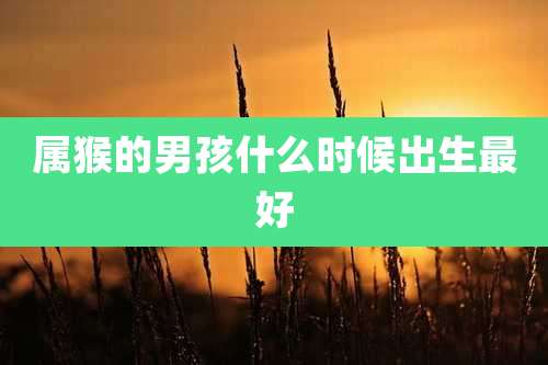 属猴的男孩什么时候出生最好