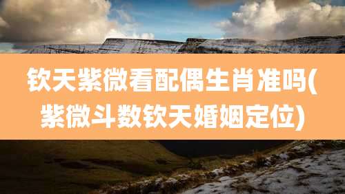 钦天紫微看配偶生肖准吗(紫微斗数钦天婚姻定位)