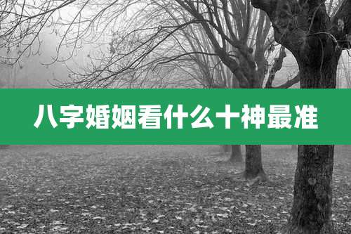 八字婚姻看什么十神最准