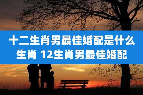 十二生肖男最佳婚配是什么生肖 12生肖男最佳婚配