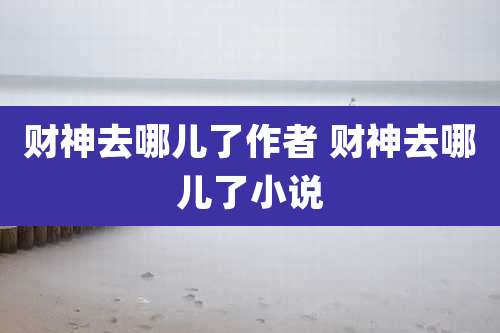 财神去哪儿了作者 财神去哪儿了小说