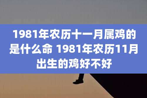 1981年农历十一月属鸡的是什么命 1981年农历11月出生的鸡好不好