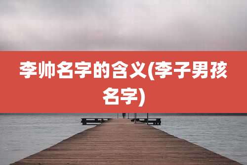 李帅名字的含义(李子男孩名字)