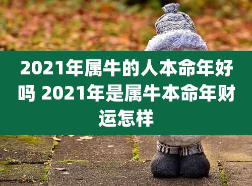 2021年属牛的人本命年好吗 2021年是属牛本命年财运怎样