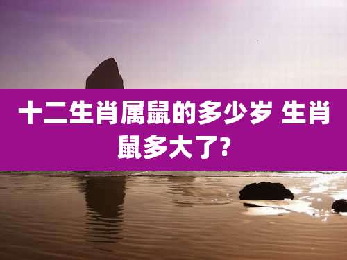 十二生肖属鼠的多少岁 生肖鼠多大了?