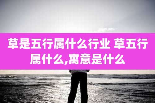草是五行属什么行业 草五行属什么,寓意是什么